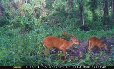 Smbar an Mineralleckstelle