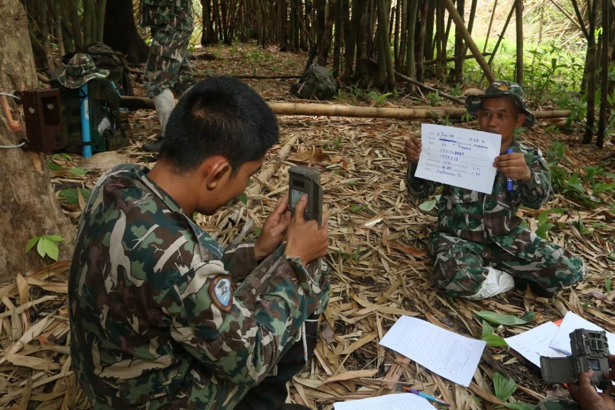 Wildhüter bei einer Schulung zur Auswertung von Kamerafallendaten