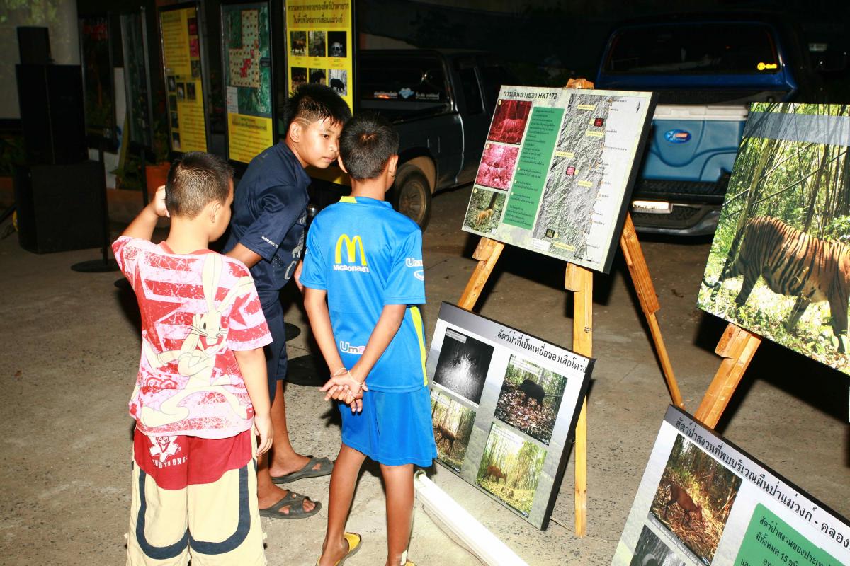 Tigerschutztraining in der Schule