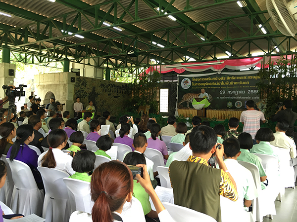 Tigerschutz-Kampagnen in Schulen