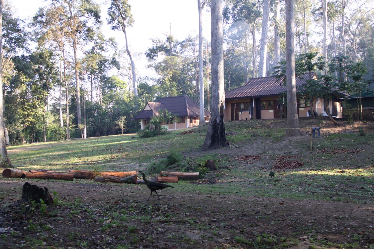 Besuch der Mae Krasa Rangerstation