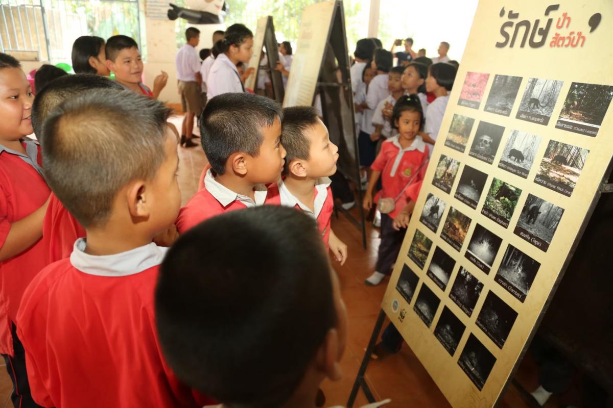 Awareness campaigns in school