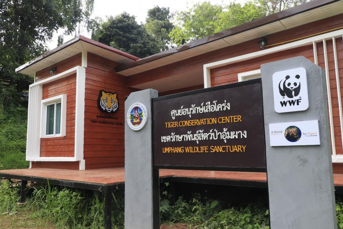 Tigerschutzzentrum Umphang