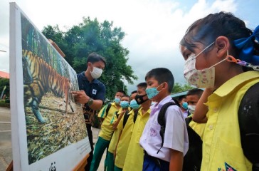 Tigerschutzkampagne an Schule