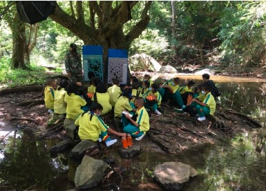 Tigerschutzkampagne mit Schüler:Innen